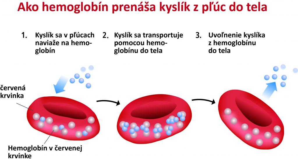 FOTO2_SK